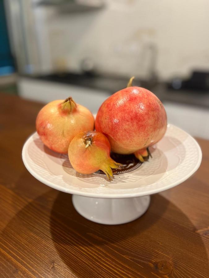 卡斯德尔诺迪波托Adelaide Al Borgo.公寓 外观 照片